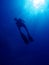 Freediver silhouette