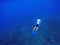 Freediver underwater in deep blue sea. Snorkeling man dives up to water surface.