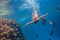 Freediver woman exploring coral