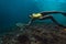 Freediver woman with turtle, underwater photography.