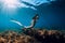 Freediver young woman with white fins glides undersea with sun rays. Freediving in transparent sea