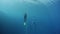 Freedivers ascend along the rope in a sea