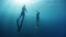 Freedivers ascend along the rope in a sea