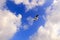 Freedom concept. Flying seagulls in blue sky with clouds