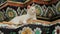 Freedom Of Living One White Cat Relaxtion on Colored Glazed Tiles In Local Pagoda