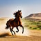 freedom nature outdoors brown wildlife majestic horse