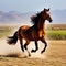 freedom nature outdoors brown wildlife majestic horse