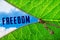 Freedom word under zipper leaf