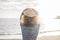 Freedom young woman with cowboay hat in front of the ocean enjoying vacation and outdoor lifestyle. summer sunlight and waves and