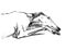 Freehand drawing of lying tired greyhound