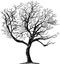 Freehand drawing of silhouette single deciduous bare tree in winter season