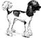 Freehand drawing of standing funny sheared black and white poodle