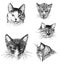 Freehand drawings of portraits various cats