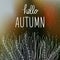 Freehand drawn wild autumn grass on gradient mesh colored background. Hello autumn lettering