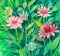 Freehand painted pink echinacea flowers