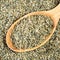 Freekeh wheat grains in wood spoon closeup