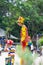 A freelance clown creating balloon animals and different shapes at outdoor festival in Ho Chi Minh city, Vietnam