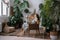 Freelancer designer florist enjoy remote work in cozy home office in indoor garden online on laptop