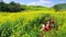 Freelancer girl works behind a laptop in a spring flower field