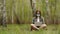 Freelancer during quarantine in the nature. Woman in mask is working on laptop in forest