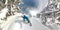 Freeride snowboarder carving in freshly fallen powder snow in mountain forest