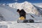 Freeride snowboarder holding a board on the background of mountains