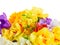 Freesia and daffodil flowers