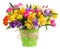 Freesia and daffodil flowers