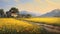 Freesia Field In The Serene Morning Of Provence