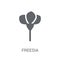 Freesia icon. Trendy Freesia logo concept on white background fr