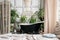 Freestanding bathtub surrounded by lush green plants