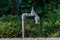 Freestanding garden water tap with lush green plants