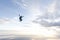 Freestyle skydiving. Girl is flying in the sky.