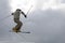 Freestyle. Snow Skier Jumping