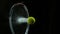 Freeze Motion Shot of Racket Hitting Tenis Ball