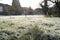 Freezed grass with hoarfrost in foreground of a field.