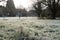 Freezed grass with hoarfrost in foreground of a field.