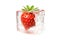 Freezing fruit. Ripe red strawberries in an ice cube on a white background. Preservation of fruit in winter by freezing.