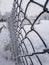 Freezing snow on fence