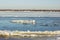 Freezing on the Volga river will be difficult due to the current