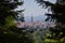 Freiburg cityscape with Munster framed with trees