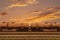 Freight train delivering gasoline in tanks at sunrise