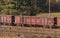 A freight train standing on a siding at a railway switch in the forest.