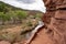 The Fremont River next to the Hickman Bridge hiking trail in Capitol Reef National Park