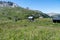 French alpine meadow landscape - Risoul France