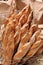 French baguettes in metal basket in bakery
