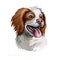 French Brittany, Brittany Spaniel, Brittany Wiegref, Epagneul Breton dog digital art illustration isolated on white background. UK