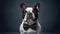 french bull dog wearing a neat suit and a bow tie, Generative AI