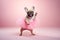 French Bulldog as a ballerina dancer in a tutu on pastel background. Dog dancing in ballerina outfit doing a pirouette. Classic