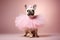 French Bulldog as a ballerina dancer in a tutu on pastel background. Dog dancing in ballerina outfit doing a pirouette. Classic